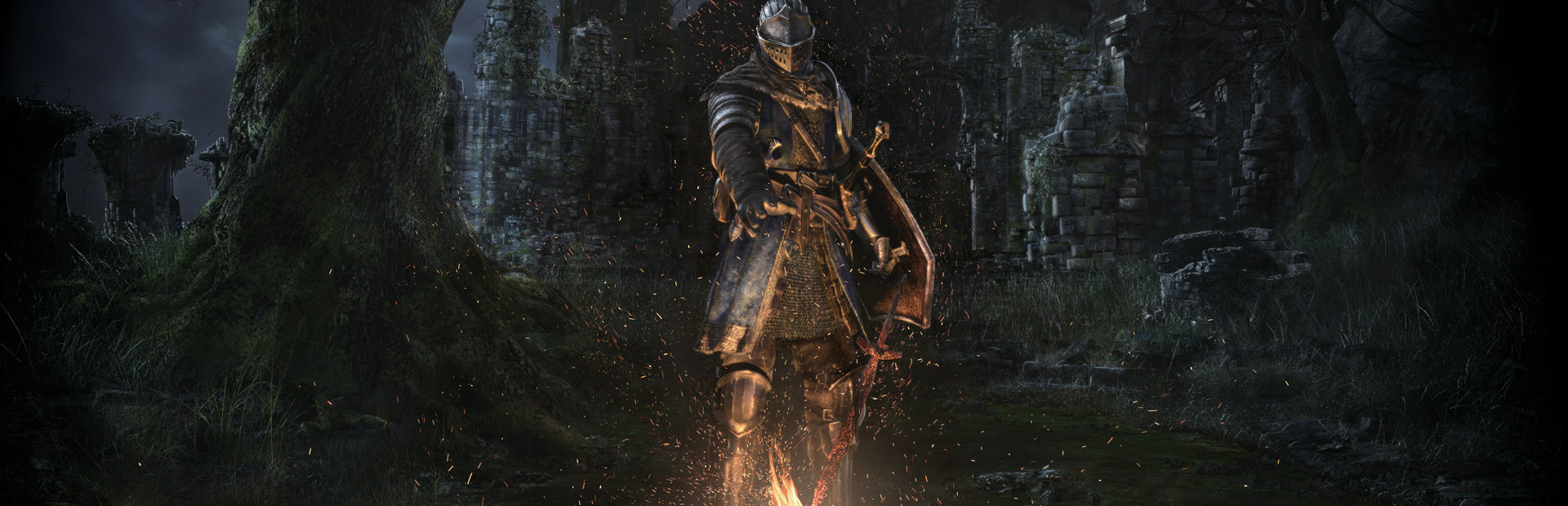 Hero Dark Souls.png
